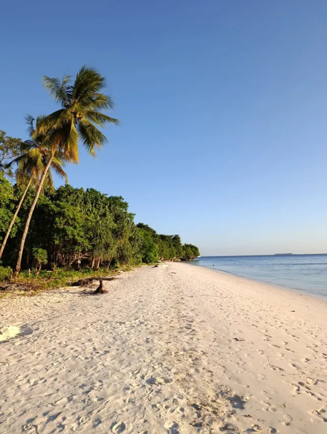 Tomia Island Signature Escape